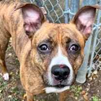 Thumbnail photo of Mist #2