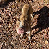 Thumbnail photo of Benton #3