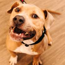 Thumbnail photo of Marilyn #2