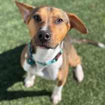 Thumbnail photo of Benny #2