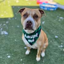 Thumbnail photo of King #2