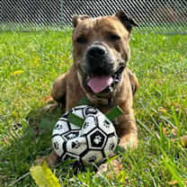 Thumbnail photo of Tucker #2