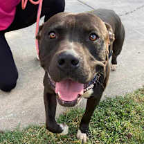 Thumbnail photo of Fernando #2