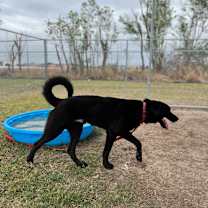 Thumbnail photo of Miracle #4