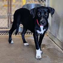 Thumbnail photo of Flor #3