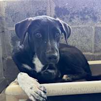 Thumbnail photo of Flor #4