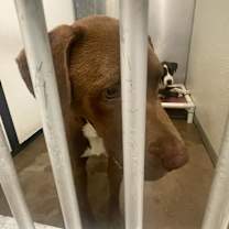 Thumbnail photo of Jimbo #4