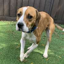 Thumbnail photo of Tornader #3