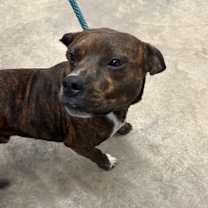 Thumbnail photo of Barrett #2