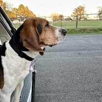 Thumbnail photo of Guidry #4