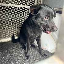 Thumbnail photo of Chad #2