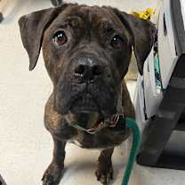 Thumbnail photo of Candyland  #3