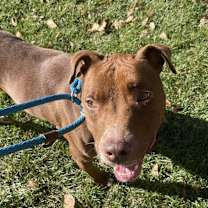 Thumbnail photo of Townley #4