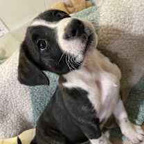 Thumbnail photo of Lyric #3