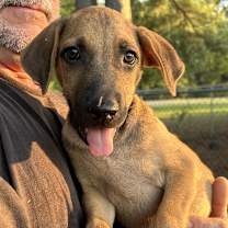 Thumbnail photo of Rudy #4
