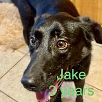 Thumbnail photo of Jacob #4