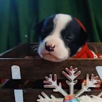 Thumbnail photo of Esther #2