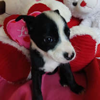 Thumbnail photo of Esther #3