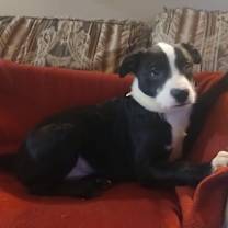 Thumbnail photo of Esther #4