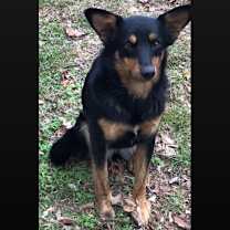 Thumbnail photo of Lucy #2