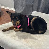 Thumbnail photo of Lucy #3