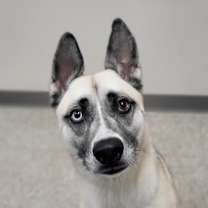 Thumbnail photo of Oxana #2