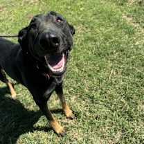 Thumbnail photo of Freeway #2