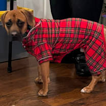 Thumbnail photo of Diego #3