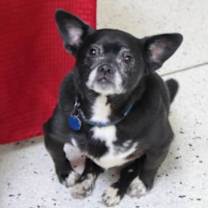 Thumbnail photo of Tux #4