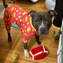 Thumbnail photo of Junious  #4