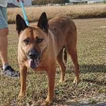 Thumbnail photo of Sydney #2