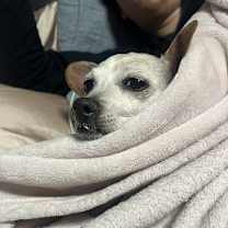 Thumbnail photo of Kya #2