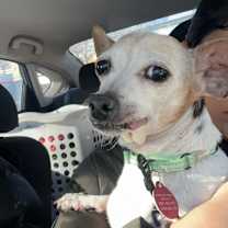 Thumbnail photo of Kya #3