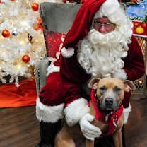 Thumbnail photo of Ryker #3