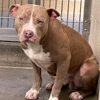 Thumbnail photo of CHARLIE #3