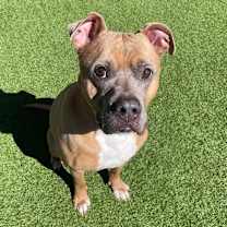 Thumbnail photo of Caleb #4