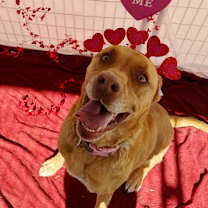 Thumbnail photo of Remington #3