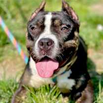 Thumbnail photo of Annabella #3