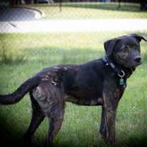 Thumbnail photo of Cooper #2