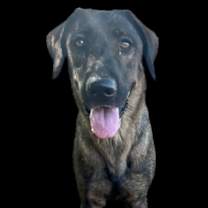 Thumbnail photo of Flora #2