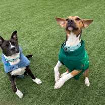 Thumbnail photo of Jetson #2