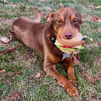 Thumbnail photo of Palmer #2