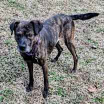 Thumbnail photo of Zandra #1