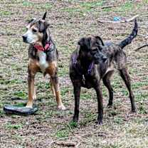 Thumbnail photo of Zandra #3