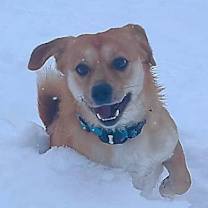 Thumbnail photo of Harry #4