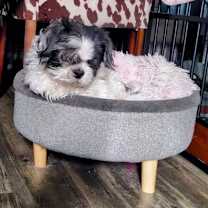 Thumbnail photo of St Nick #3