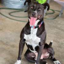 Thumbnail photo of Clinton #1