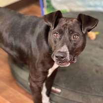 Thumbnail photo of Clinton #4