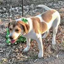 Thumbnail photo of Zac #2