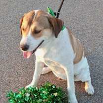 Thumbnail photo of Zac #3